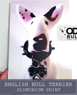 English Bull Terrier Aluminium Print 20x30cm